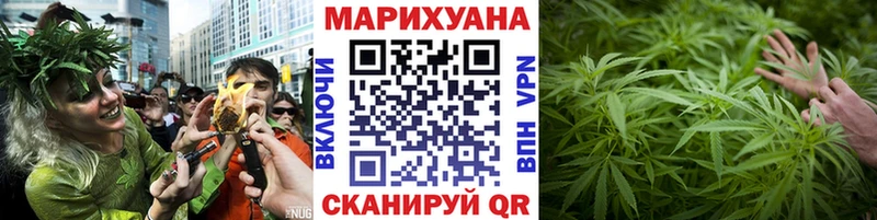 Купить  Заозёрск  Каннабис план 